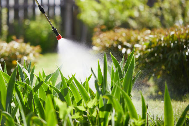 Tamper-Resistant Bait Stations for Rodents in McConnelsville