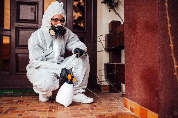Attic and Crawl Space Rodent Treatment in McConnelsville